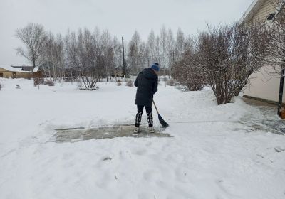 Труд дворника